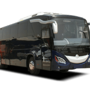 Buses